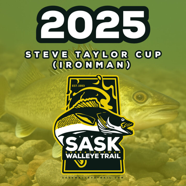 Steve Taylor Cup (Ironman)