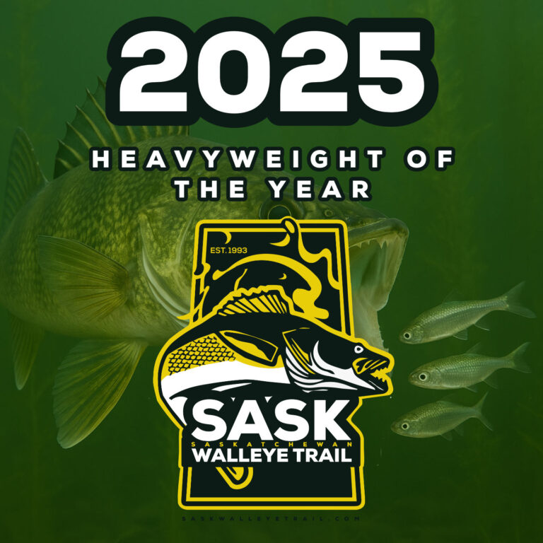 Heavyweight of the Year