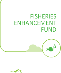 Donate to Fish Enhancement Fund